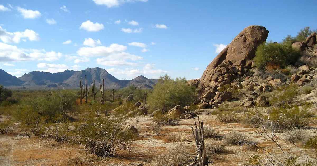 Paisaje rocoso y cactus del desierto sonorense